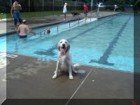 Jesse At The Pool